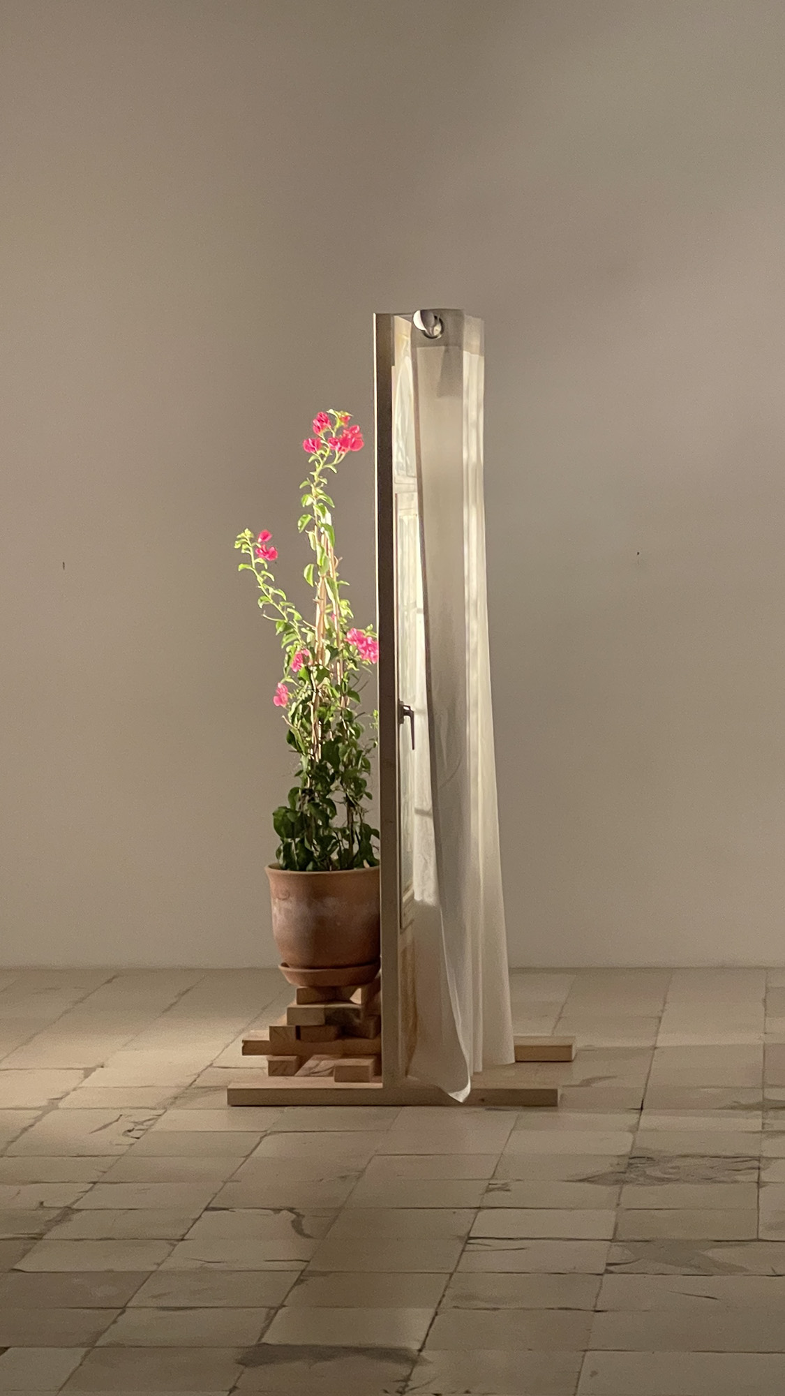 Window